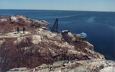 From the Light Tower